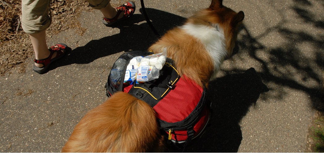 how to make a doggie backpack