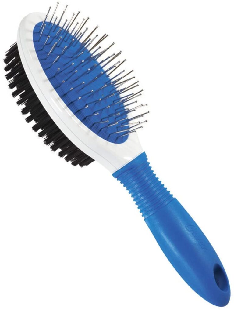 Best Brush for Long Haired Dachshund [2021] Your Pets Guide