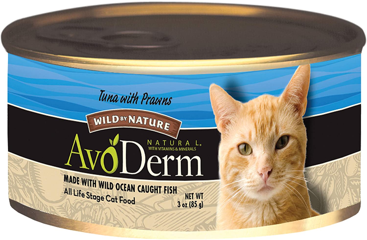 Best Cat Food for Dry Flaky Skin [2021 ] Your Pets Guide
