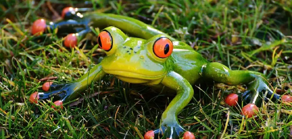 What Happens When a Dog Eats a Frog