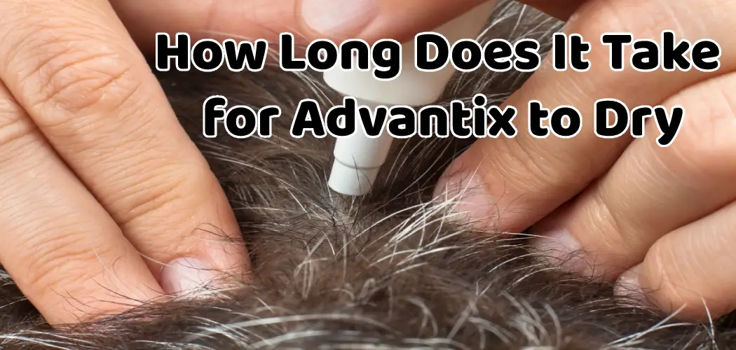 How Long Does It Take for Advantix to Dry