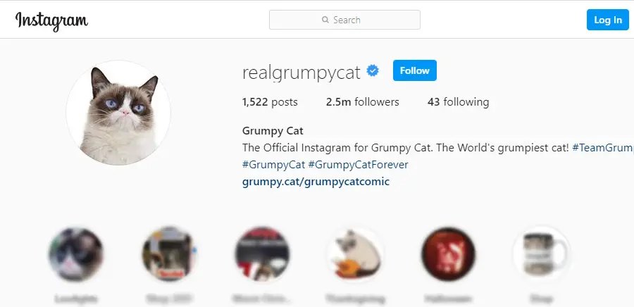 Instagram @realgrumpycat