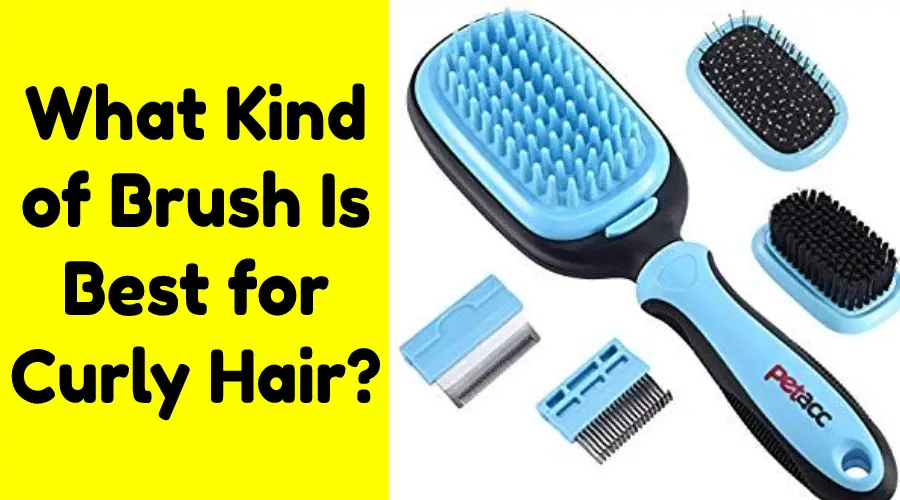What Kind of Brush Is Best for Curly Hair?