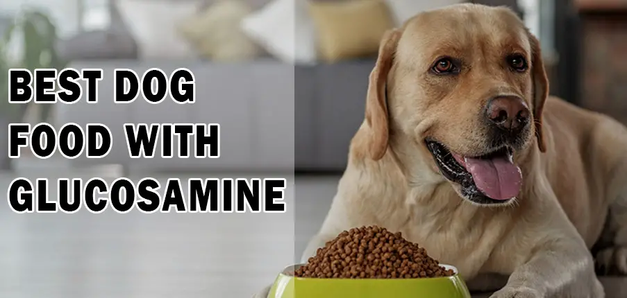 Best Dog Food With Glucosamine