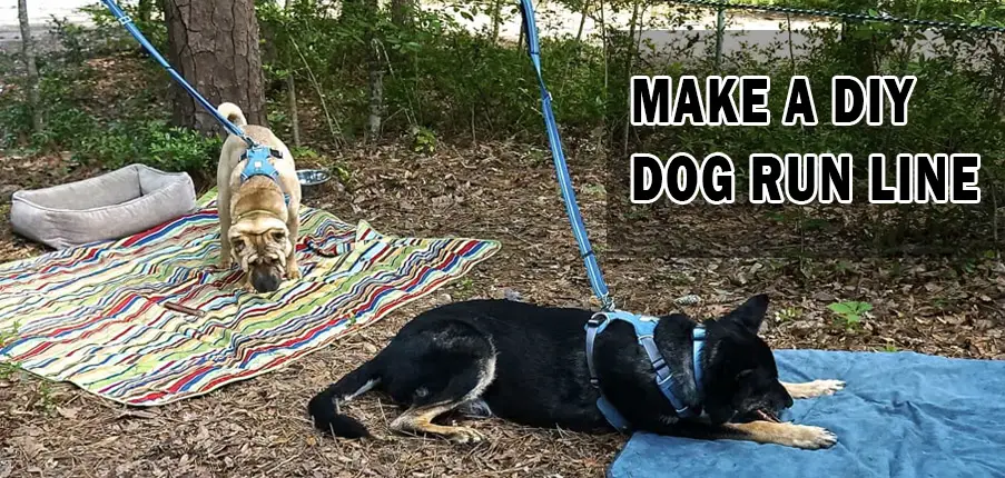 Make a DIY Dog Run Line