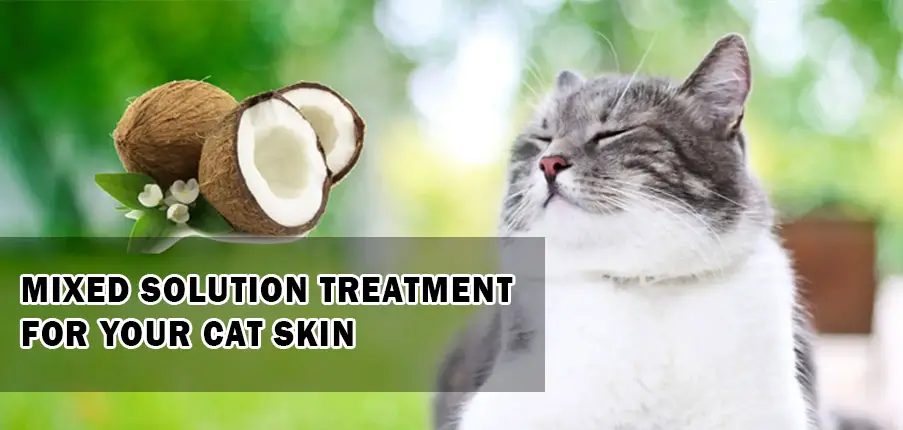 Mixed solution treatment for your cat skin