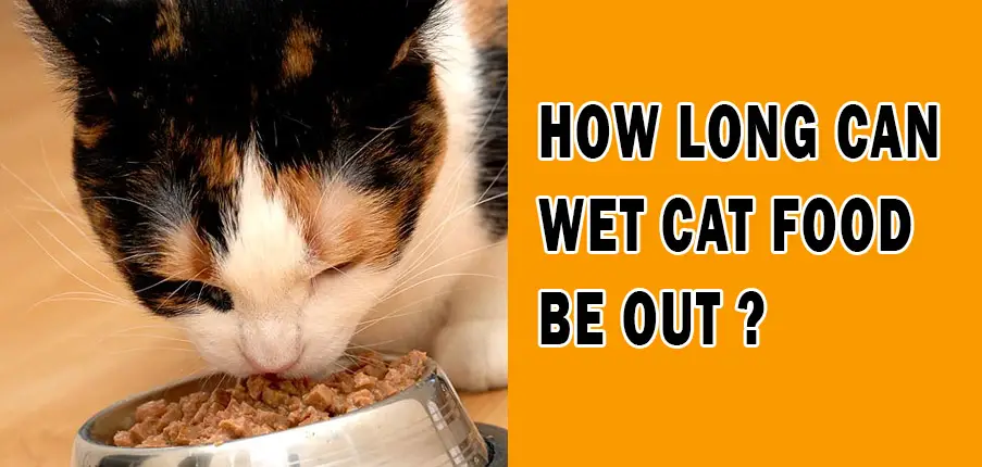 how long can wet cat food be out