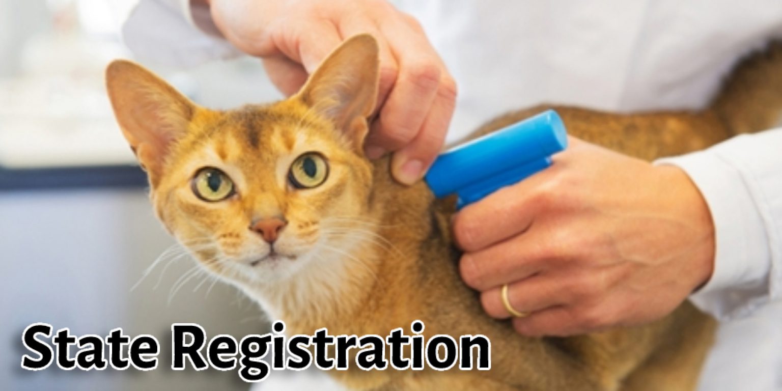 how-to-register-a-cat-without-papers