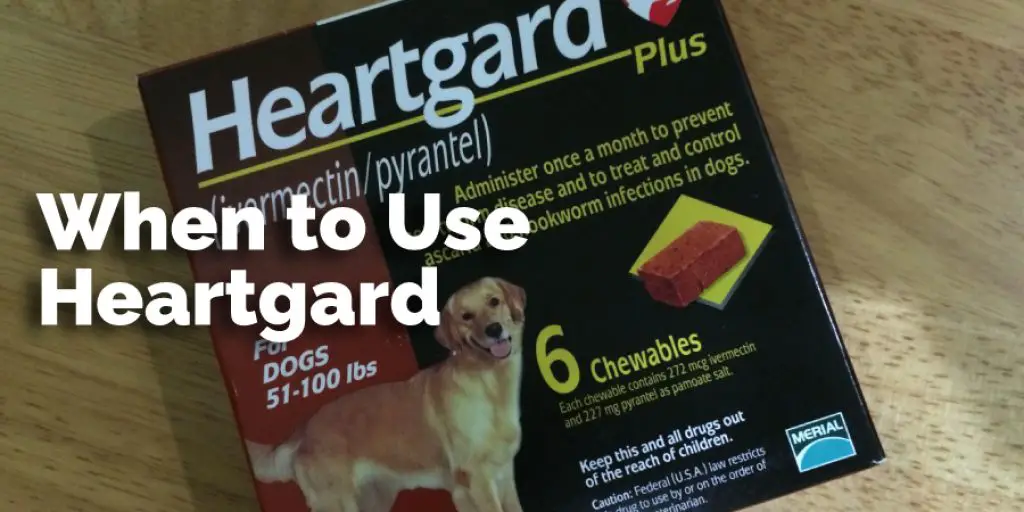 When to Use Heartgard