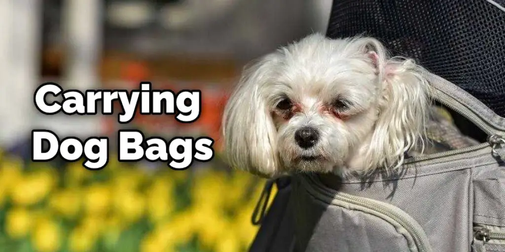Carrying Dog Bags