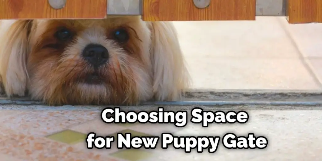 Choosing Space for New Puppy Gate