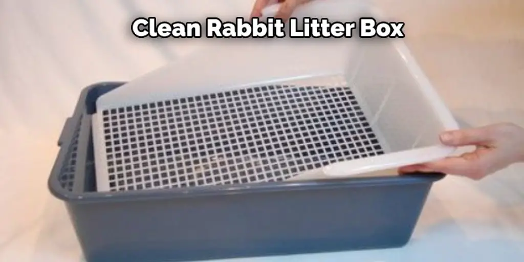 Clean Rabbit Litter Box