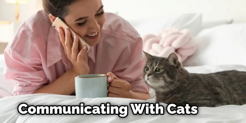 Communicating With Cats