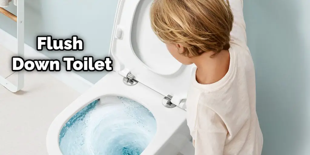 Flush Down Toilet