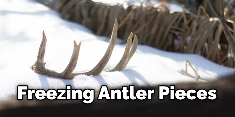 Freezing Antler Pieces