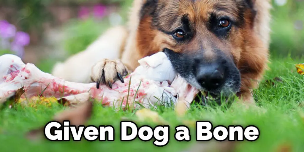 Given Dog a Bone