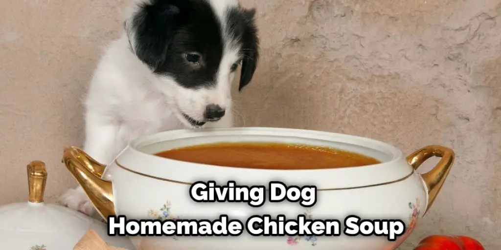 Giving Dog Homemade Chicken Soup