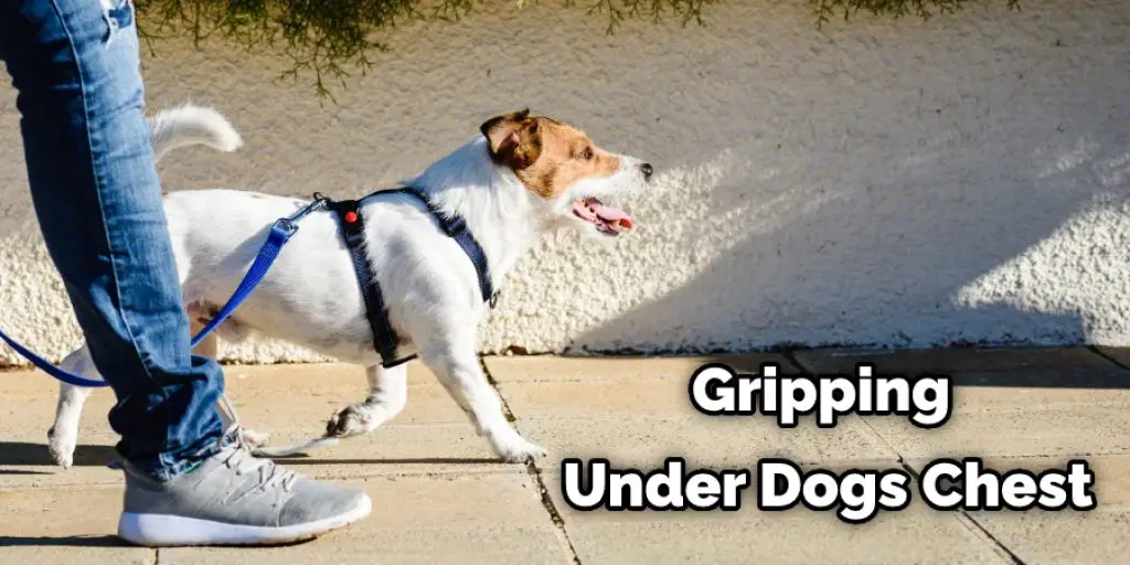 Gripping Under Dogs Chest