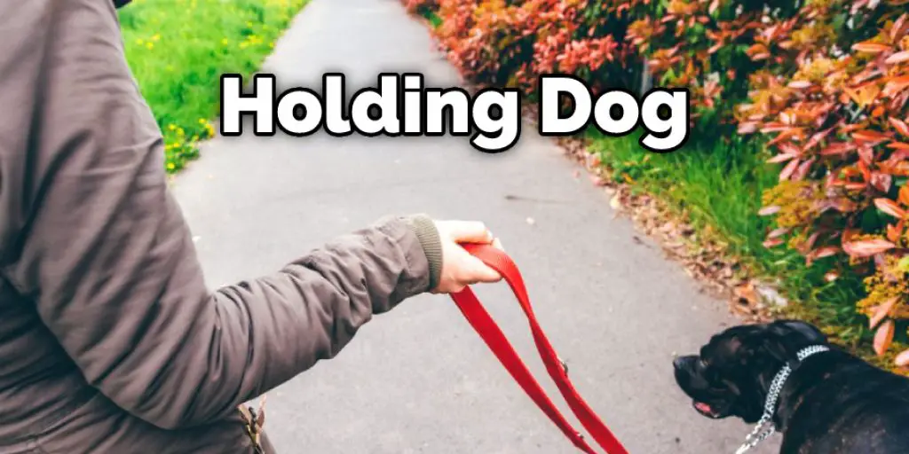 Holding Dog