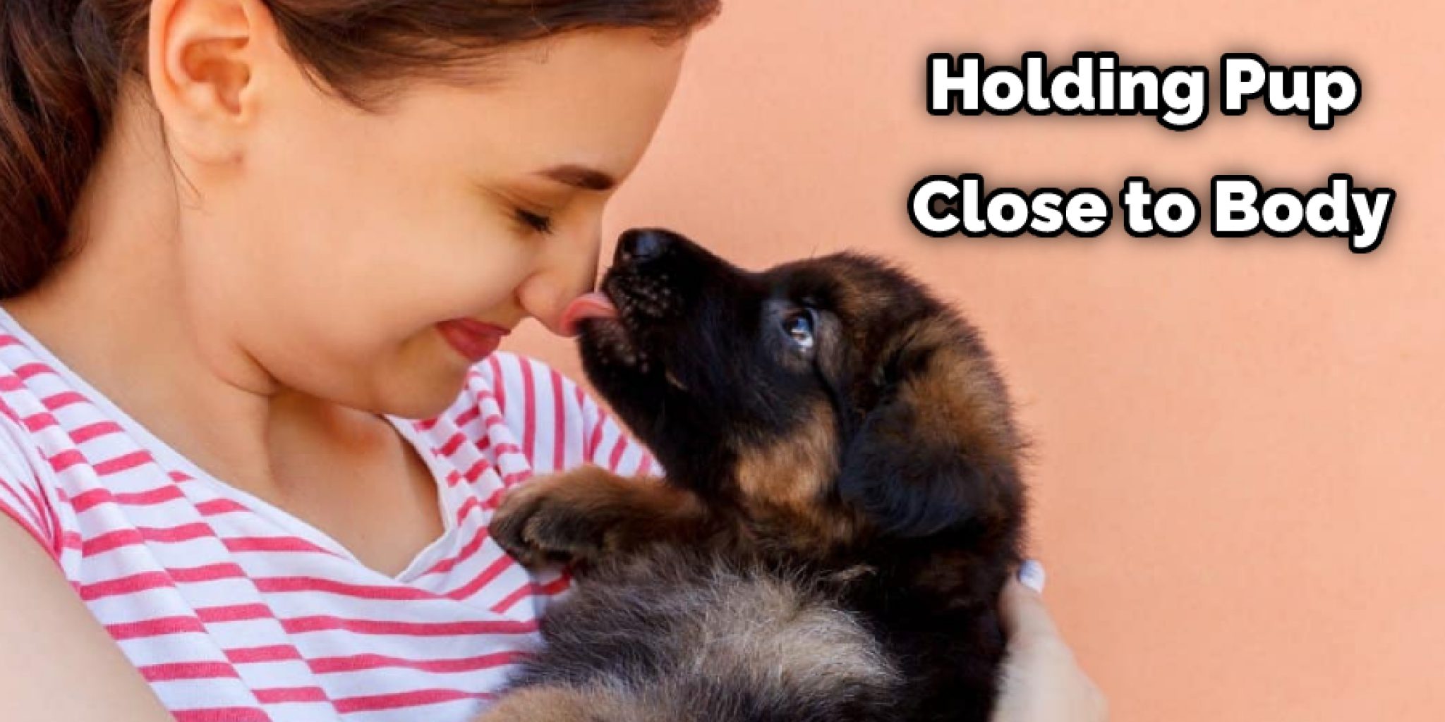 How to Carry a Large Dog Down Stairs 6 Methods Instructions (2024)