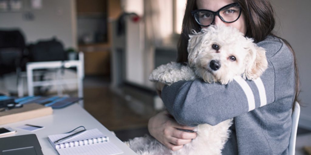 How to Keep Dog Quiet When Working From Home