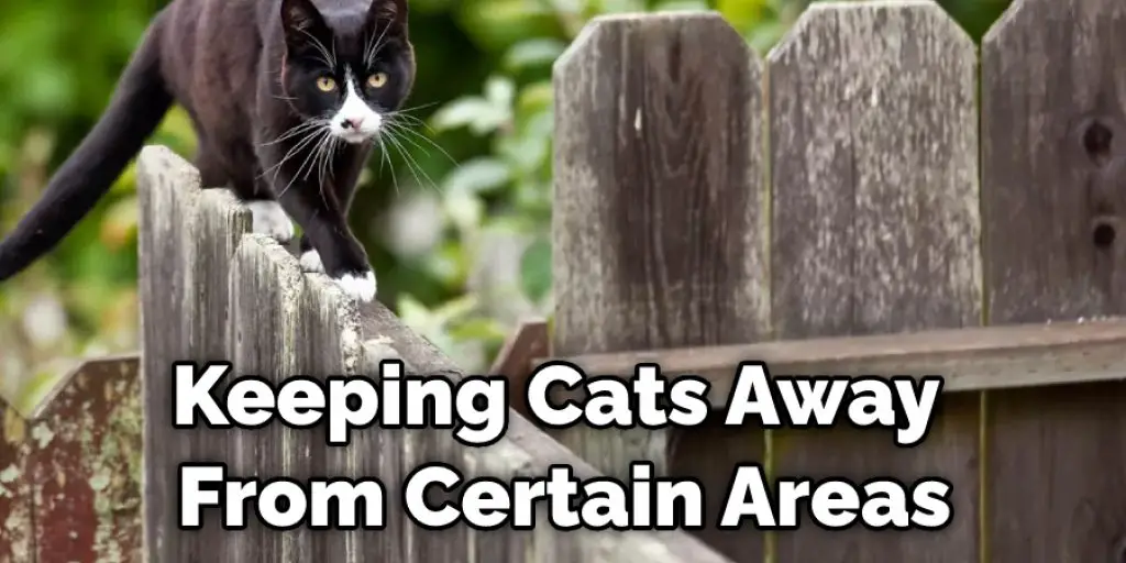 Keeping Cats Away From Certain Areas