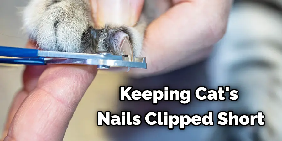 Keeping Cat's Nails Clipped Short