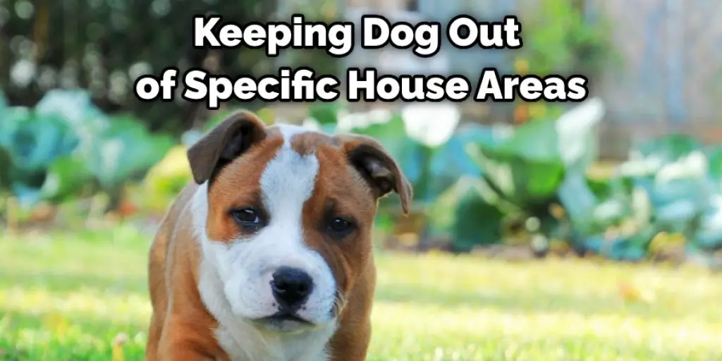 Keeping Dog Out of Specific House Areas