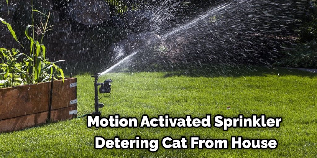 Motion Activated Sprinkler Detering Cat From House