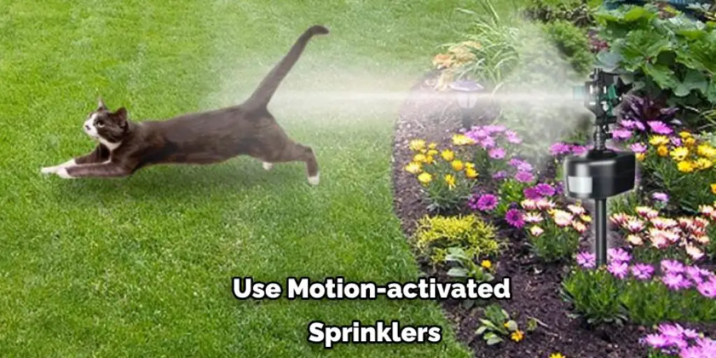 Use Motion-activated  Sprinklers