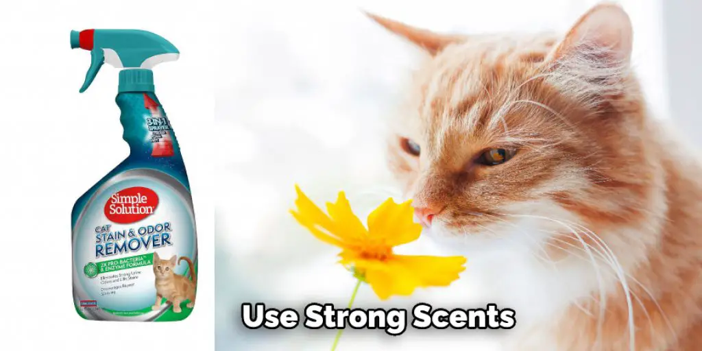 Use Strong Scents
