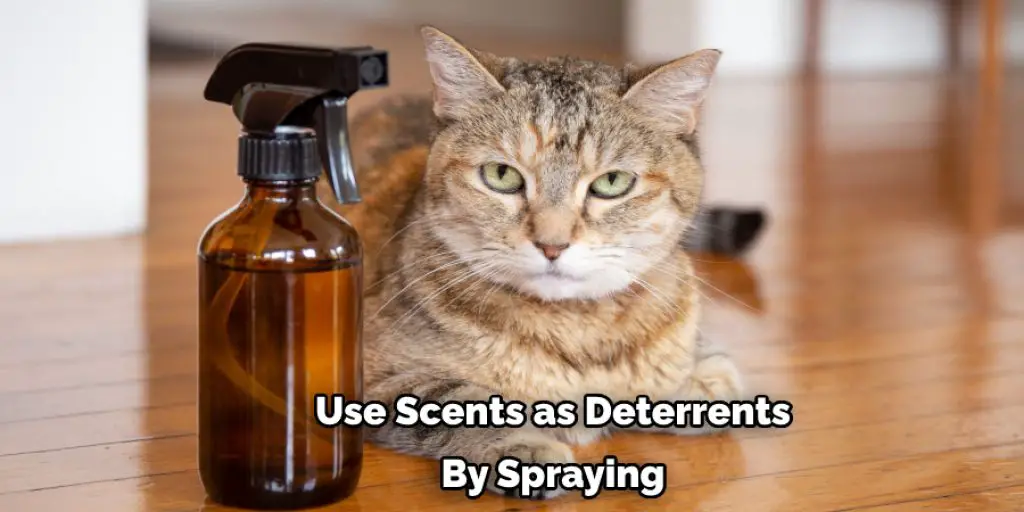 Use Scents as Deterrents By Spraying