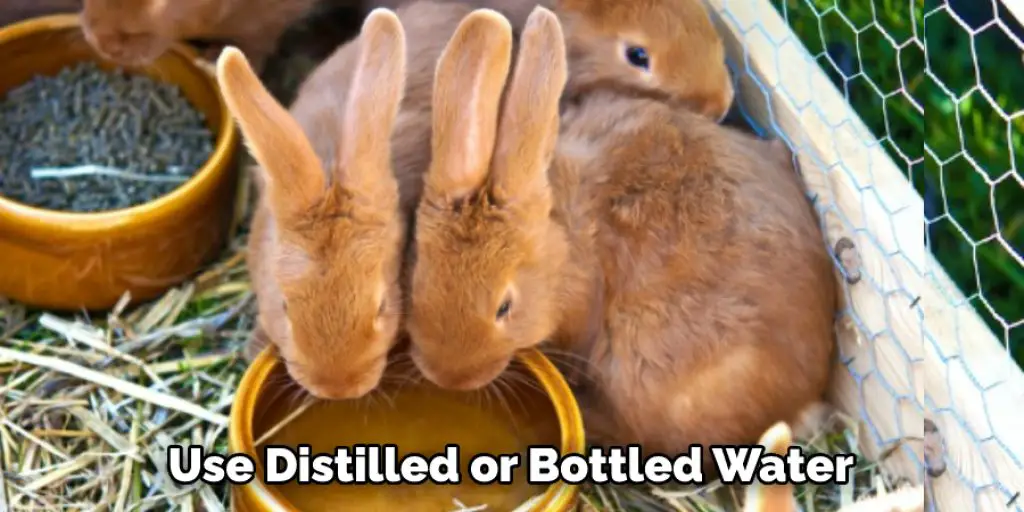 Use Distilled or Bottled Water