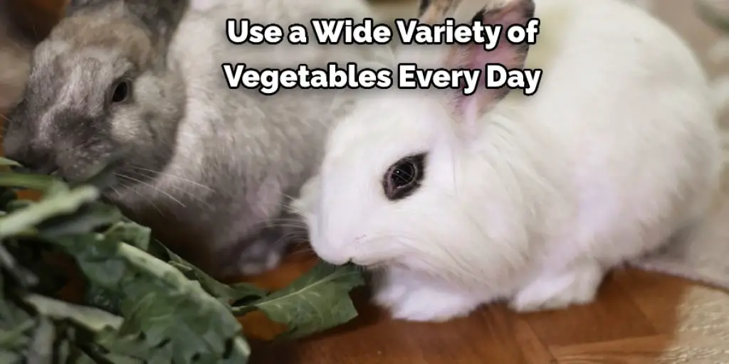 Use a Wide Variety of Vegetables Every Day