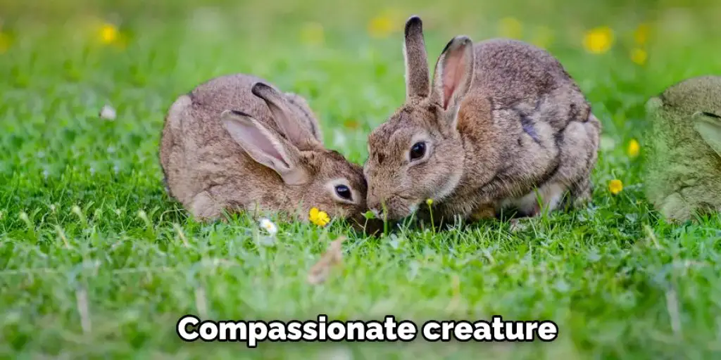  Compassionate ​creature