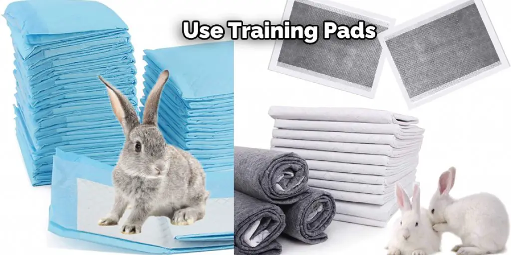 Use Training Pads
