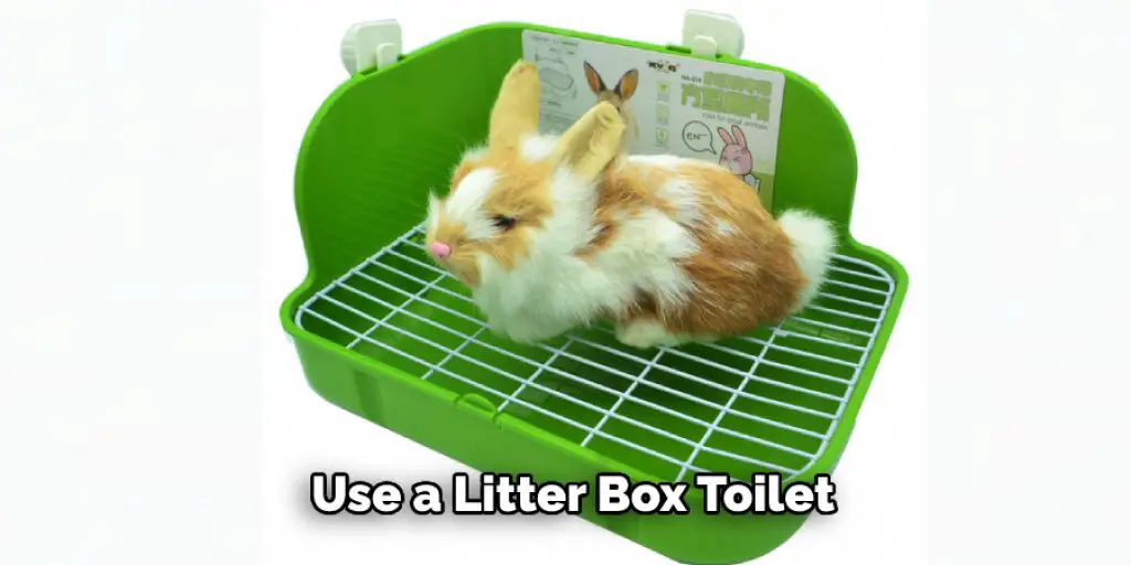 Use a Litter Box Toilet