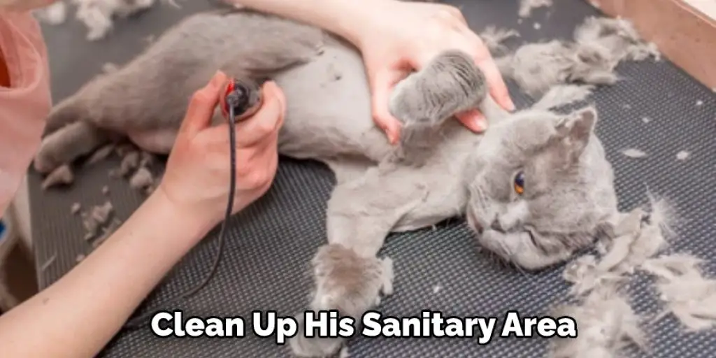 Clean Up His Sanitary Area