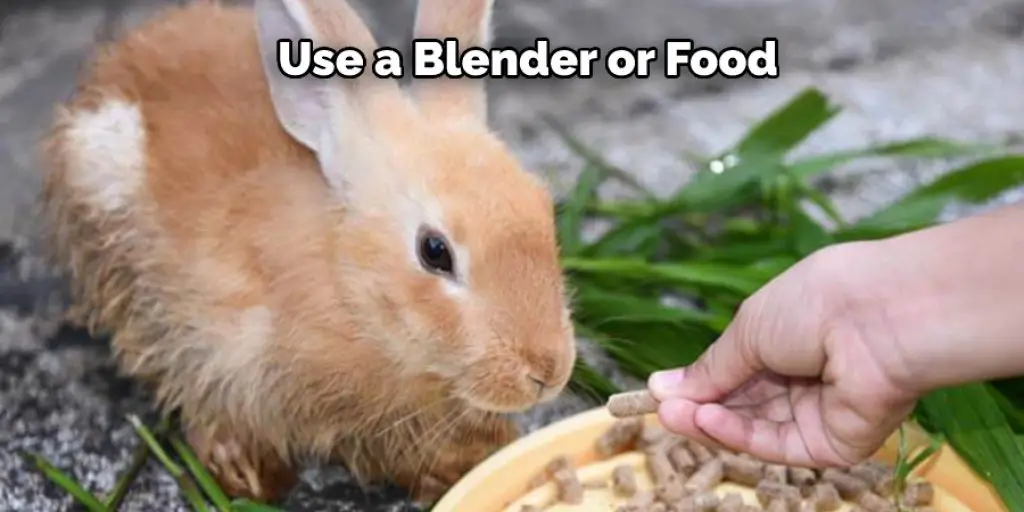 Use a Blender or Food