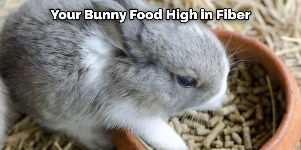 Your Bunny Food High in Fiber