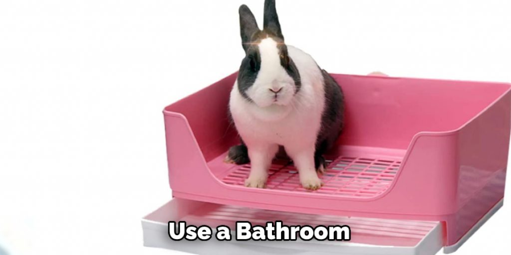  Use a Bathroom