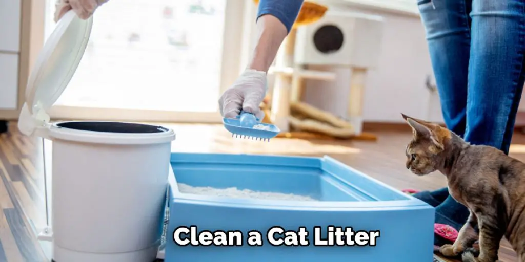  Clean a Cat Litter