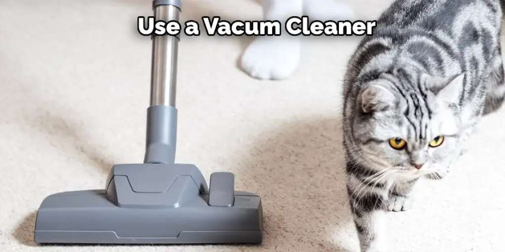  Use a Vacum Cleaner 