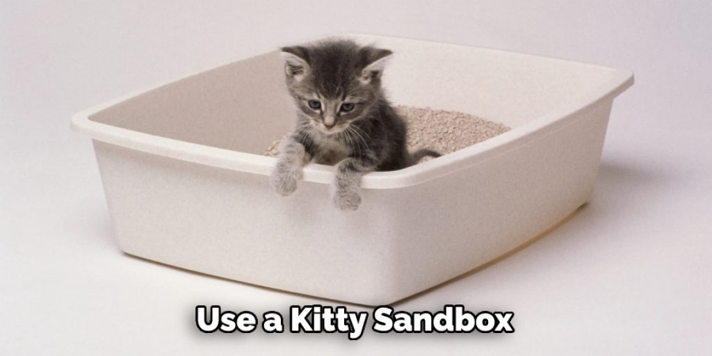 Use a Kitty Sandbox