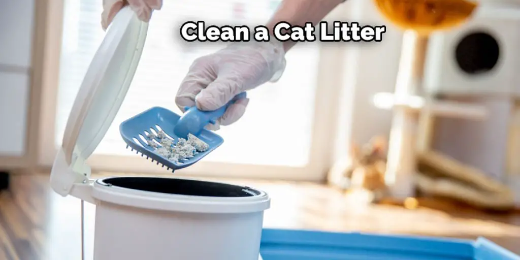  Clean a Cat Litter