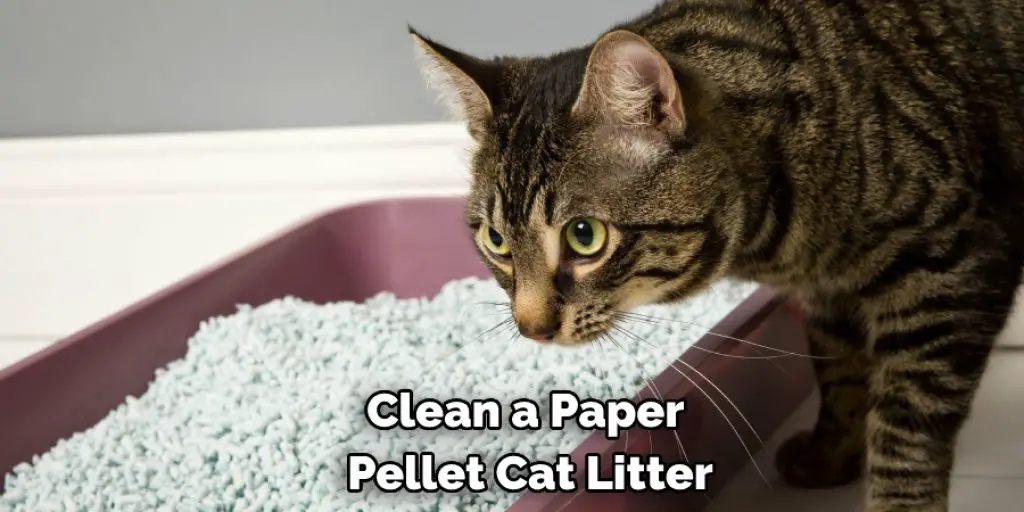 Clean a Paper  Pellet Cat Litter