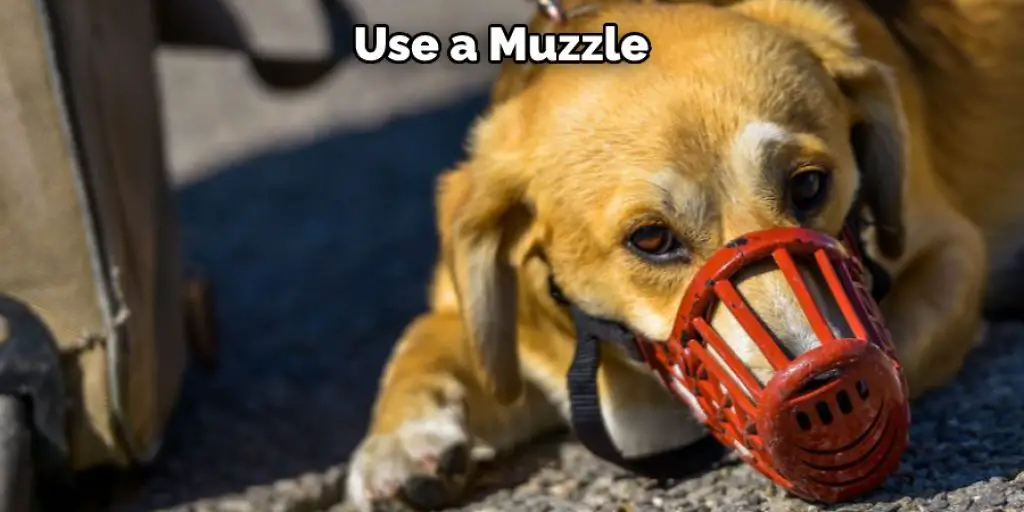 Use a Muzzle