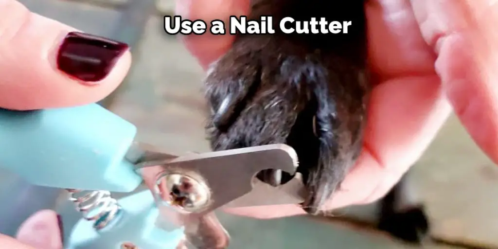 Use a Nail Cutter