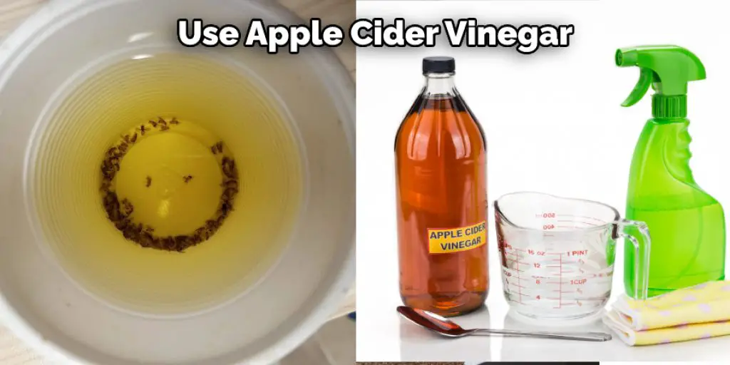  Use Apple Cider Vinegar