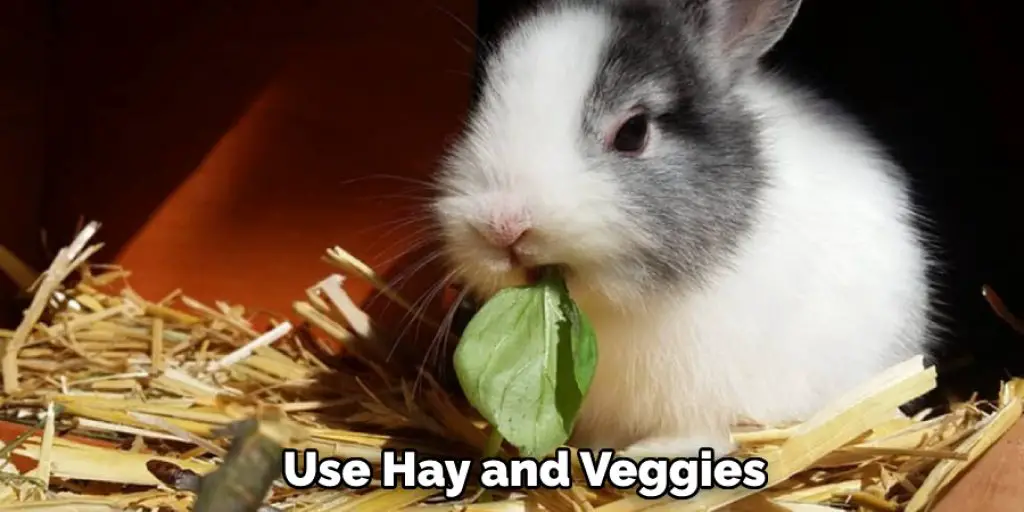 Use Hay and Veggies
